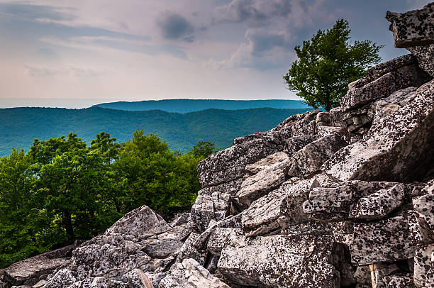View of the Appalachians from the boulder-covered slopes of Dunc View of the Appalachians from the boulder-covered slopes of Duncan Knob, George Washington National Forest, Virginia. george washington national forest stock pictures, royalty-free photos & images