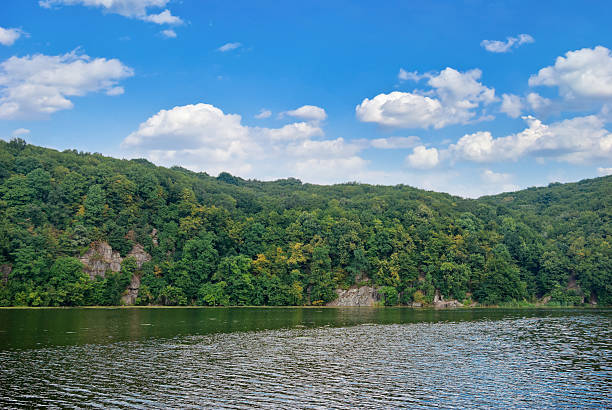 istock Thick, green forest on a rocky river bank 530959683