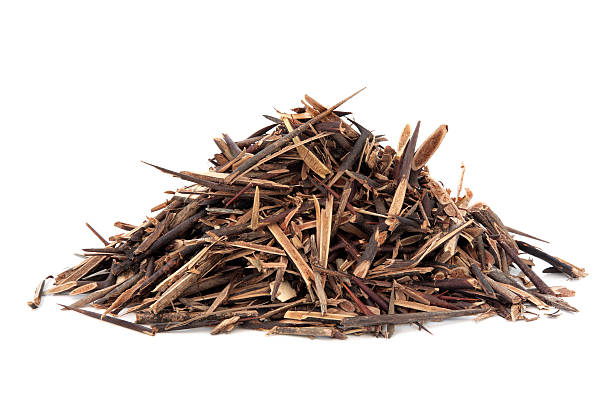 istock Chinese Honeylocust 530960033