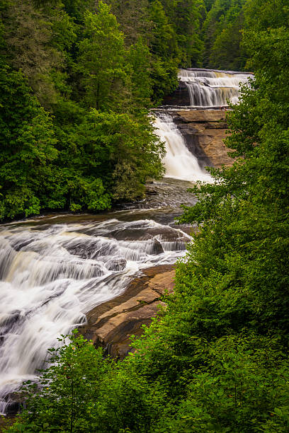 просмотр тройные падения, dupont государственный леса, северная каролина. - blue ridge mountains stream forest waterfall стоковые фото и изображения