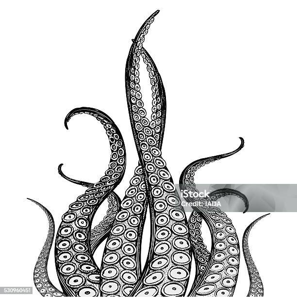 Hand Drawn Vector Tentacles Stock Illustration - Download Image Now - Octopus, Tentacle, Illustration