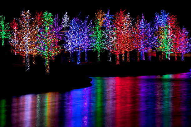istock Trees wrapped in LED lights for Christmas 530962469