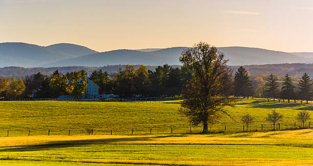 istock View of farm fields and distant mountains from Longstreet Observ 530962601