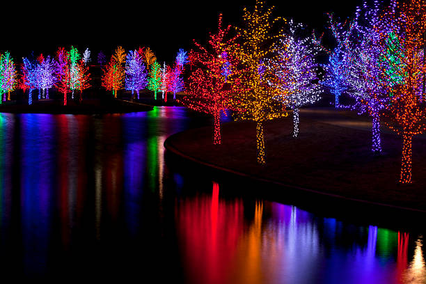 istock Trees wrapped in LED lights for Christmas 530963491
