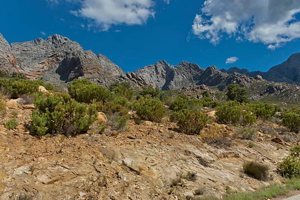 istock Interesting rocks in Theronsberg pass 530963537