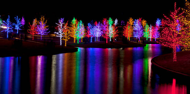 istock Trees wrapped in LED lights for Christmas 530964003