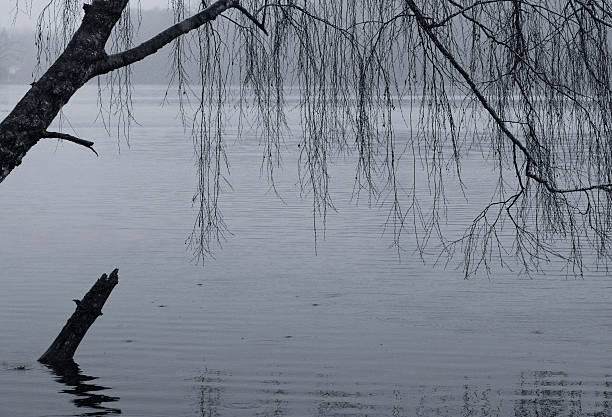 Nature image of twigs and branches in front of water surface of lake Hariksee in winter. Gützenrath, Northrhine Westfalia, Germany. December 2014