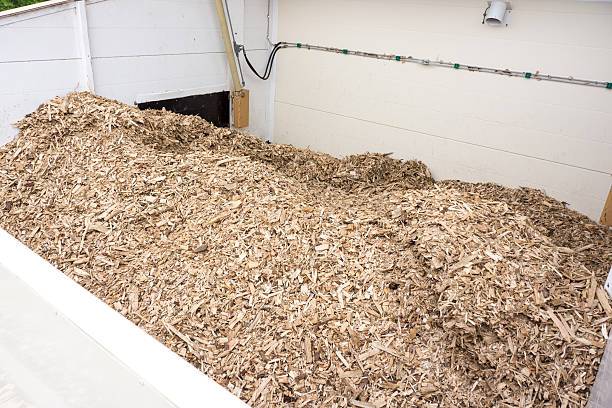 istock wooden log storage place 530964437