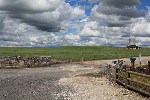 istock Somewhere in New Zealand 530973095