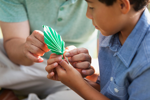 Close up of a Japanese boy (8 years) holding a leaf made out of paper.  Focus on leaf and hands.  His grandfather is sitting next to him, helping.