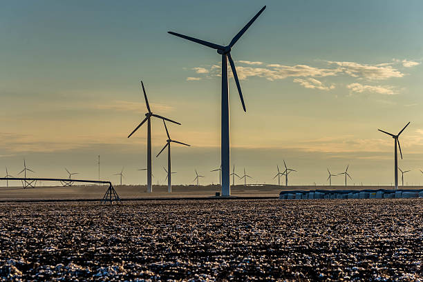 istock renewable energy - wind turbines with cotton fields 530975177