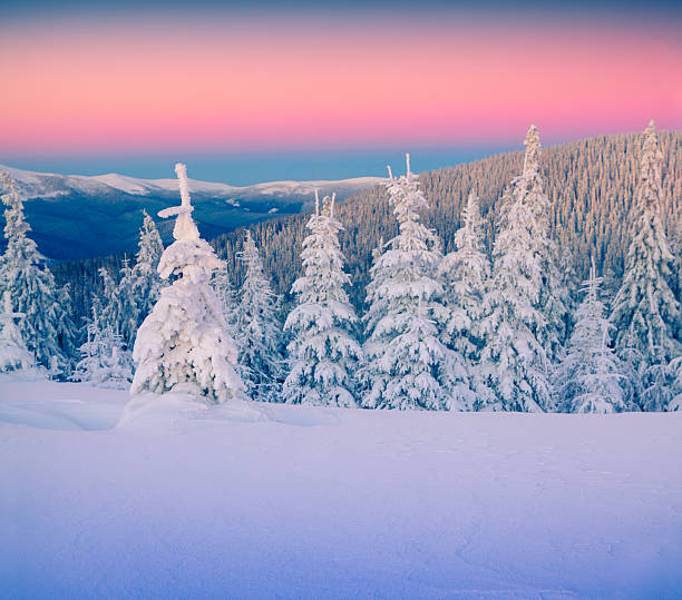 istock Colorful winter landscape in mountains. 530975377