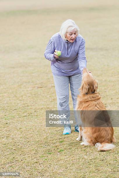 Senior Woman Playing Fetch With Golden Retriever Stock Photo - Download Image Now - Dog, Retrieving, Senior Women