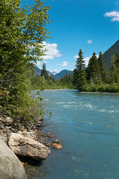 istock Landscape with river and forest in British Columbia. Canada 530975853