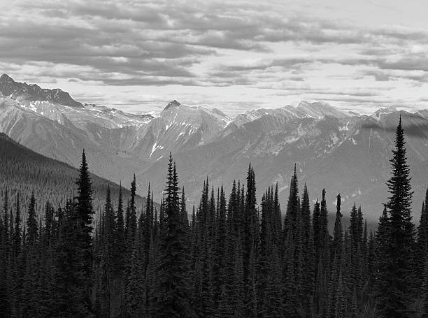 istock Landscape with forest in British Columbia. Mount Revelstoke. Can 530975883