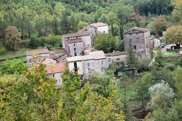istock houses in the forest 530979913