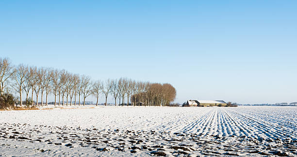 istock Plowed field covered with snow 530981885