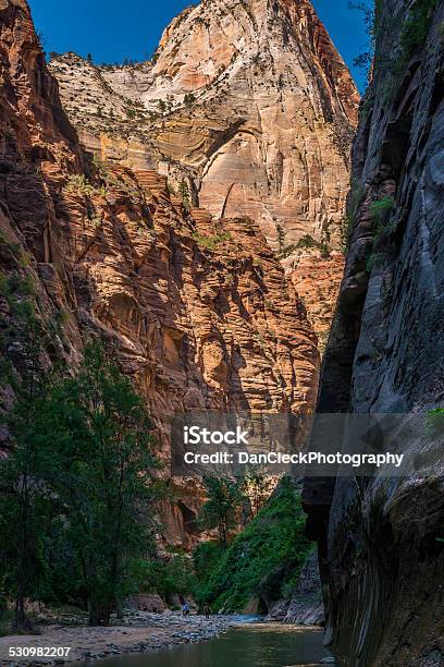 Zion National Park Stock Photo - Download Image Now - Autumn, National Landmark, Nature