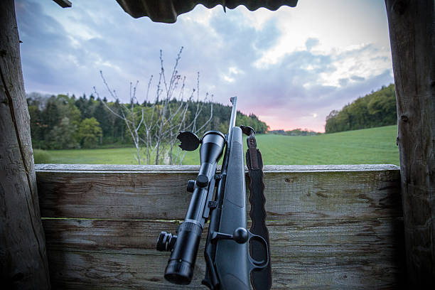 istock Modern hunting rifle with scope 530982748