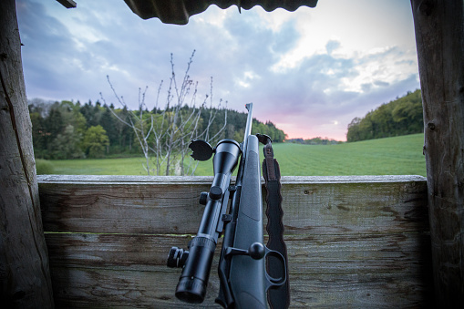 Modern black hunting rifle with a scope in hunting hide and a beatiful view on sunset and fields and forest