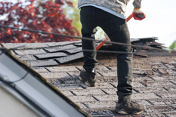 istock Old asphalt roof shingles being removed for replacemnt 530984606