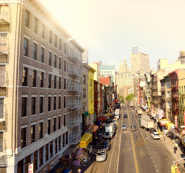 istock Chinatown, Lower Manhattan, NYC 530984690