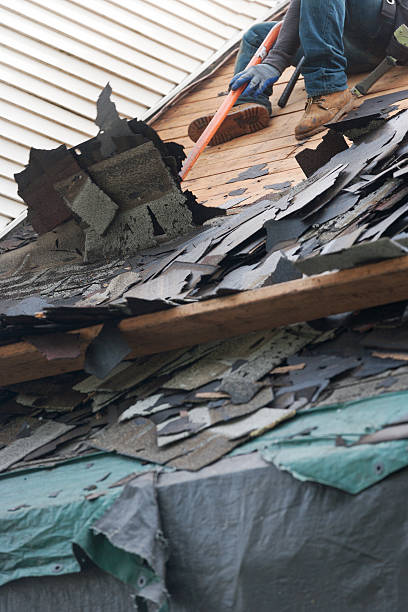 istock Old asphalt roof shingles being removed for replacemnt 530984782