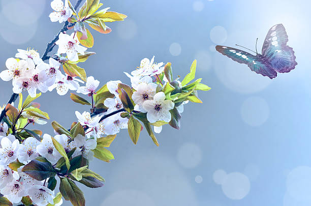 istock Beautiful butterfly and flowers 530985798