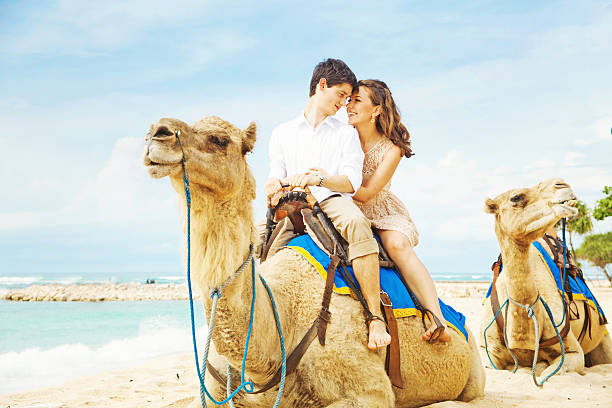 istock Beautiful couple riding camel on the beach 530985817