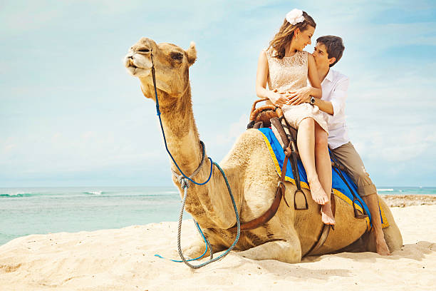 istock Beautiful couple riding camel on the beach 530985827