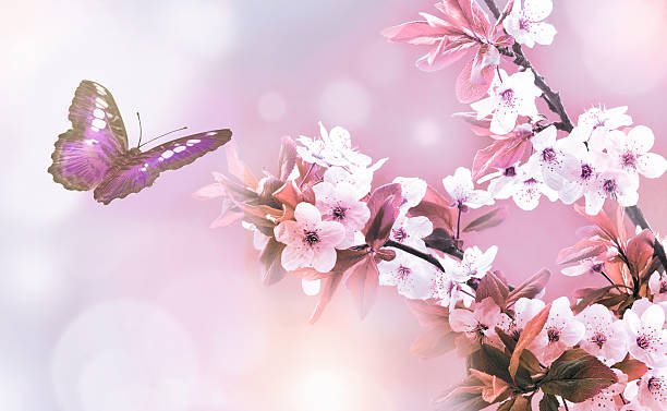 istock Beautiful butterfly and flowers 530986268
