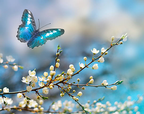 istock Beautiful butterfly and flowers 530986442