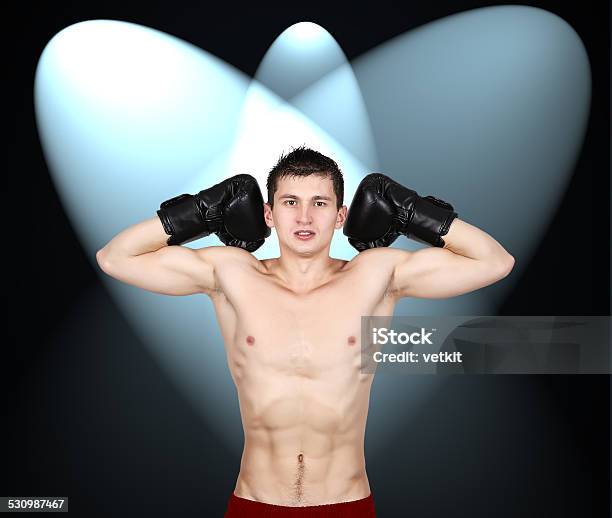 Muscular Boxer Stock Photo - Download Image Now - 2015, Active Lifestyle, Adult