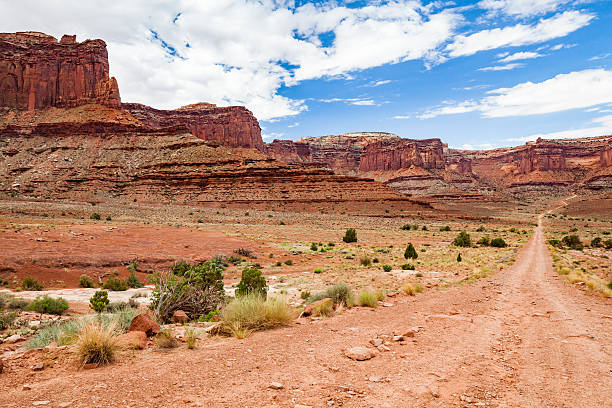 istock Canyonlands National Park, Utah, USA 530988644