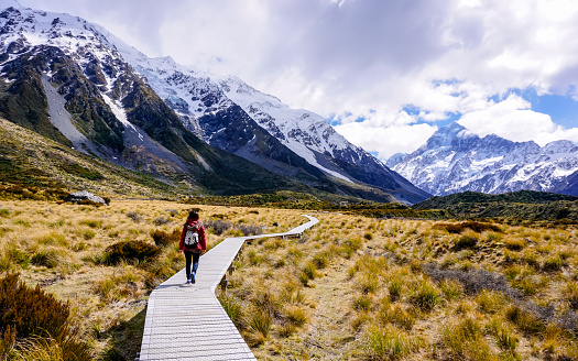 Woman walking through glden meadow on Hooker Valley trail, Mount Cook national park