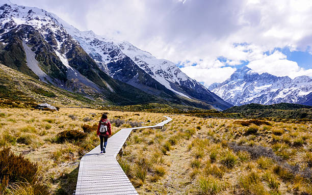 Woman walking through Hooker Valley trail Woman walking through glden meadow on Hooker Valley trail, Mount Cook national park new zealand stock pictures, royalty-free photos & images