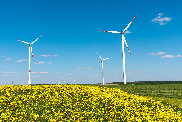 windwheels と黄色の花畑 - klimaschutz ストックフォトと画像
