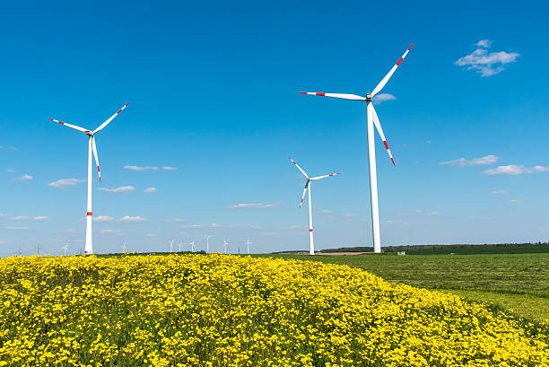 windwheels e flores amarelas - klimaschutz - fotografias e filmes do acervo