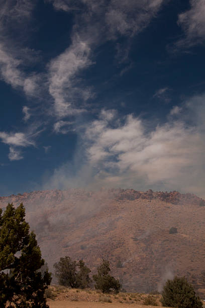 istock Desert fire with burning bushes and brush 530993494