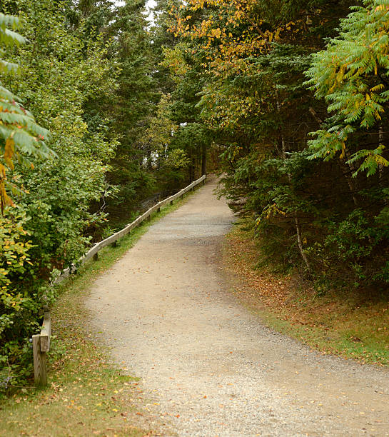 istock gravel path in woods 530994259