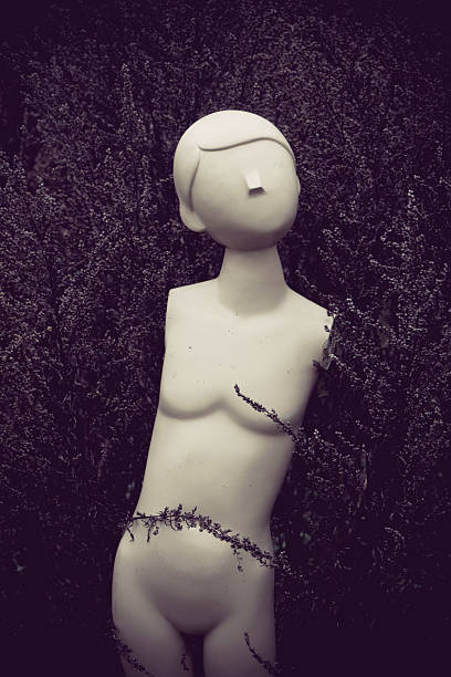 istock Dummy mannequin in the bushes 530994782
