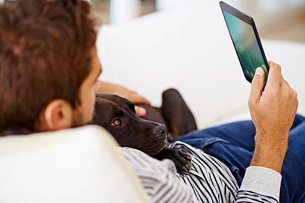istock Even man's best friend is into it 530994863