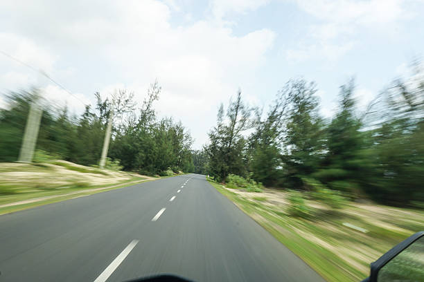 istock high speed running of forest road 530995601