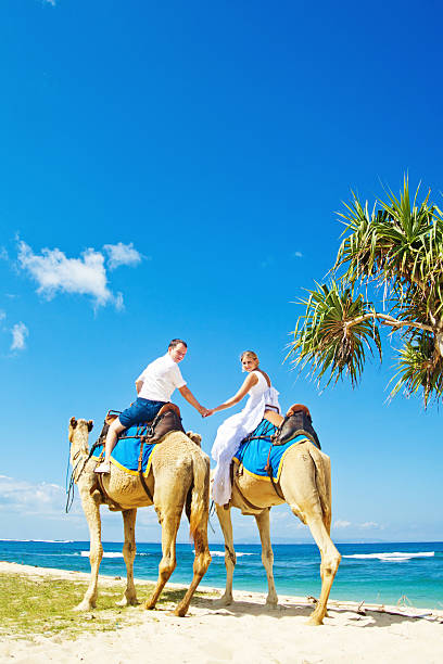 istock Groom and his bride riding camels on the beach 530996013