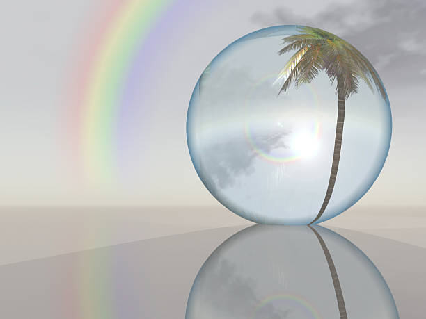 surrealistyczny tropikalne drzewo kokosowe całym świecie - backdrop horizontal reflection day zdjęcia i obrazy z banku zdjęć