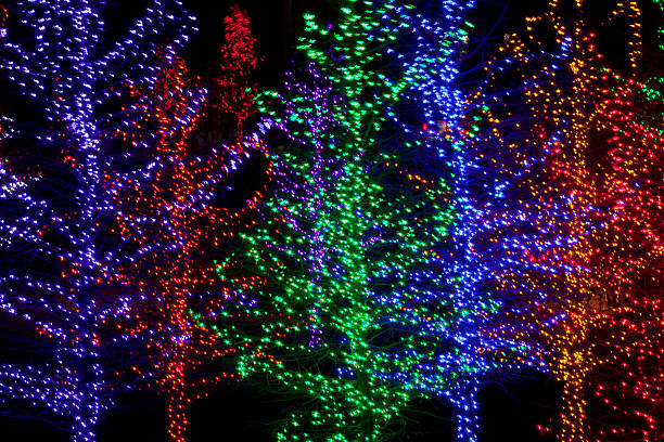 istock Trees wrapped in LED lights for Christmas 530997125