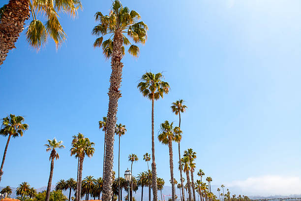 istock Santa Barbara - California 530997884