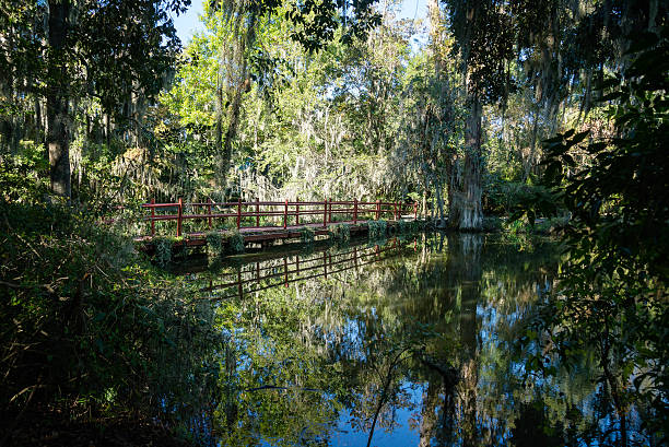 istock South Carolina swamp with red bridge 530998471