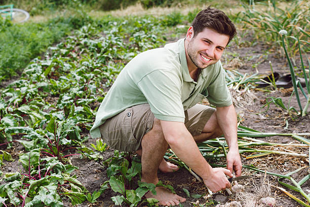 istock Handsome man cropping fresh organic garlic 530999634