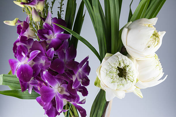 istock Lotus & Orchid 530999858
